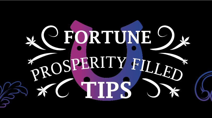 Fortune Tips